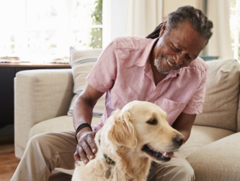Senior Man Sitting On Sofa At Home With Pet Labrador Dog
