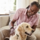 Senior Man Sitting On Sofa At Home With Pet Labrador Dog